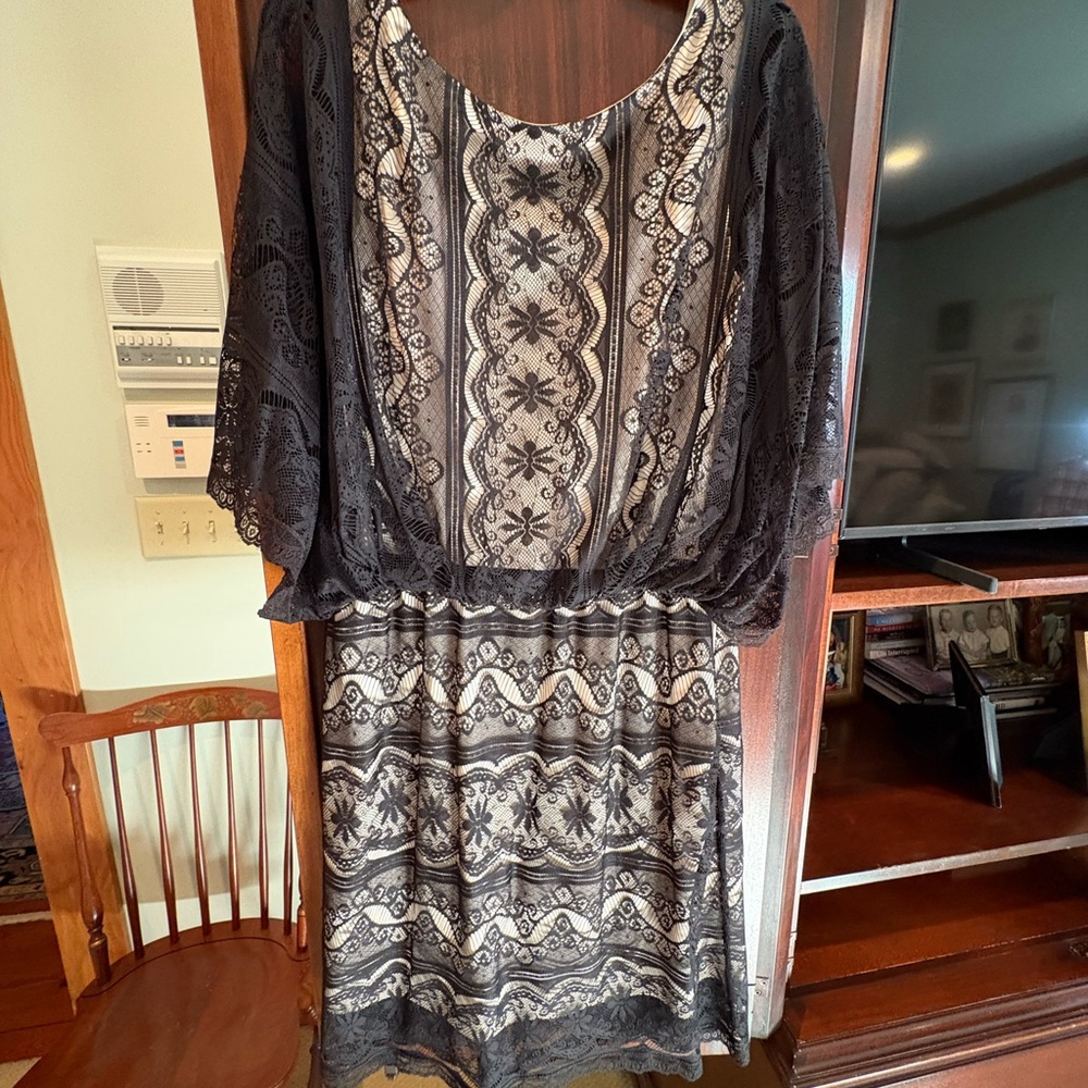 Elegant Black and Cream Lace Dress